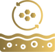 Group_41_1